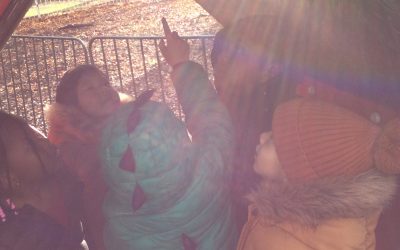 We’re Going on a Spider Hunt!