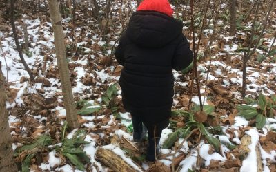 Forest School Friday Fun.
