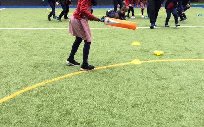 Cricket fun
