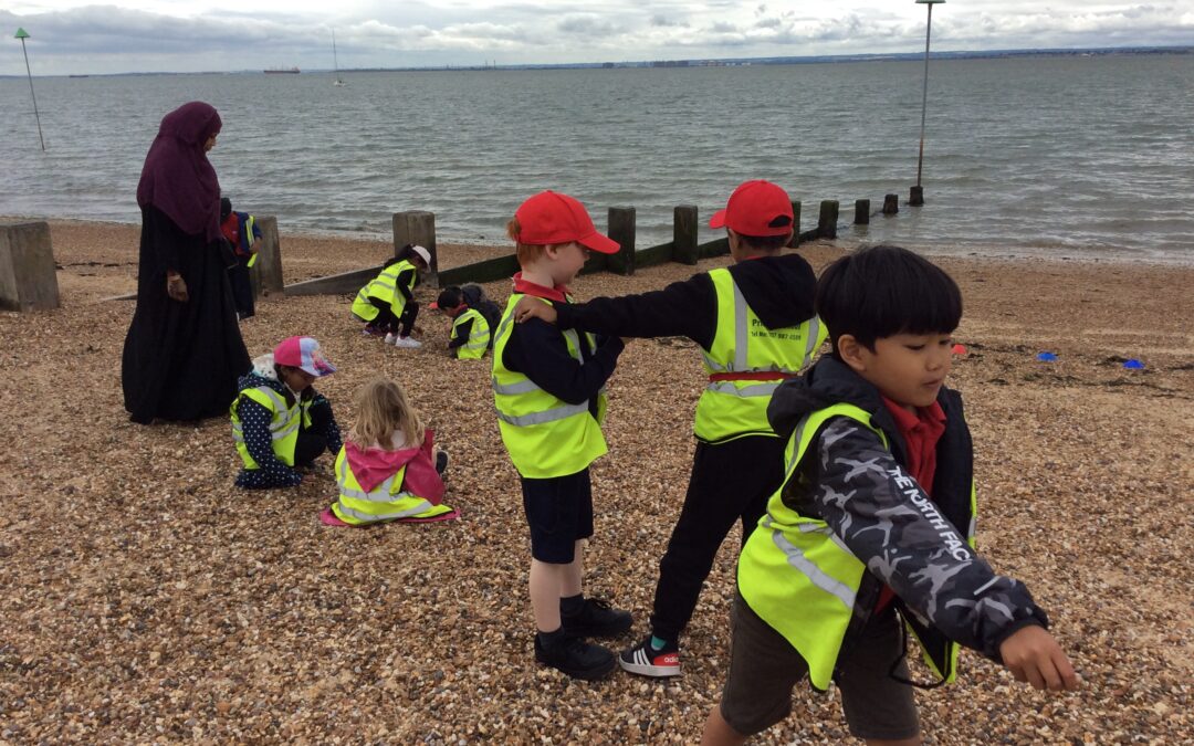 Year 1 go to the seaside