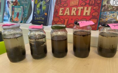 Investigating soil