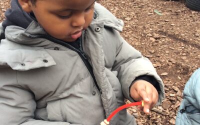 Making Bird Feeders