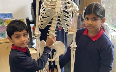 Y3 Science- The Human Body