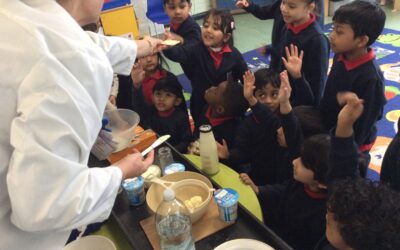 Science Afternoon: Churning Butter in Hamilton Class