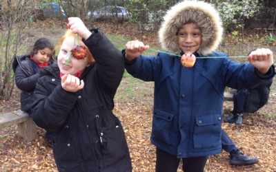 Springing into Learning: Reflecting on the Adventures of Year 1