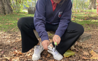 Year 5 Fire Lighting Adventure