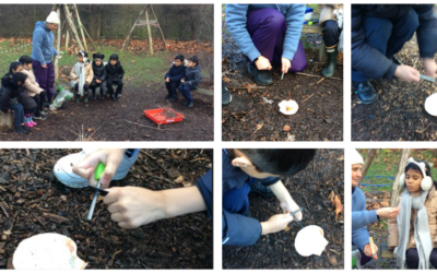 Discovering the Wonders of Nature with Year 2