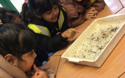 Nature Comes to Life: Our Visit to the Soanes Centre